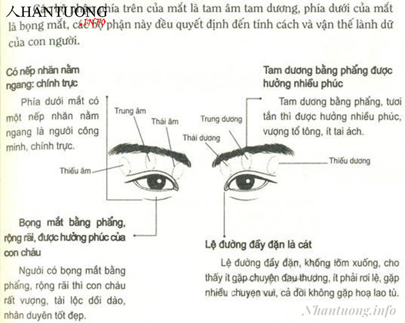 Phán đoán lành dữ qua các bộ phận quanh của mắt Phán đoán lành dữ qua các bộ phận quanh của mắt