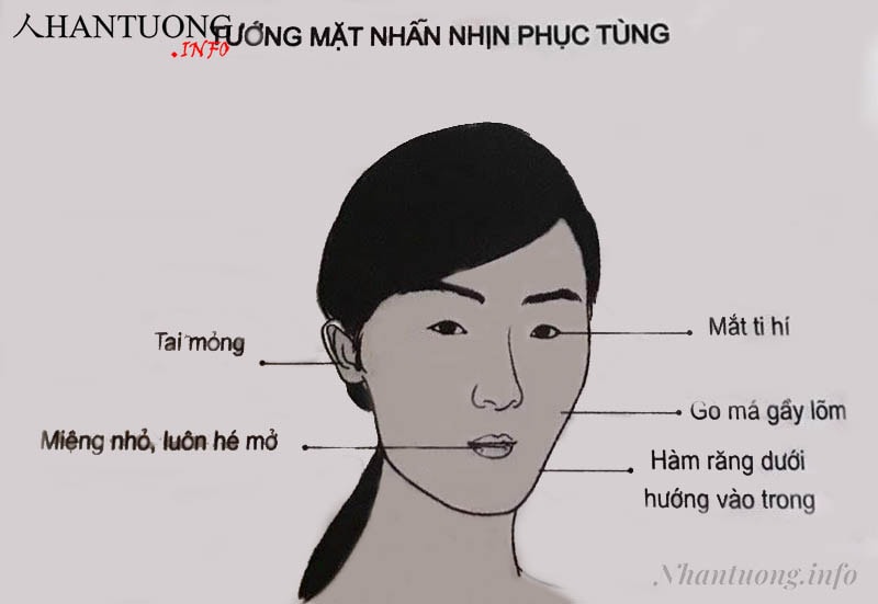 Khuôn mặt của người nhận nhịn phục tùng Khuôn mặt của người nhận nhịn phục tùng