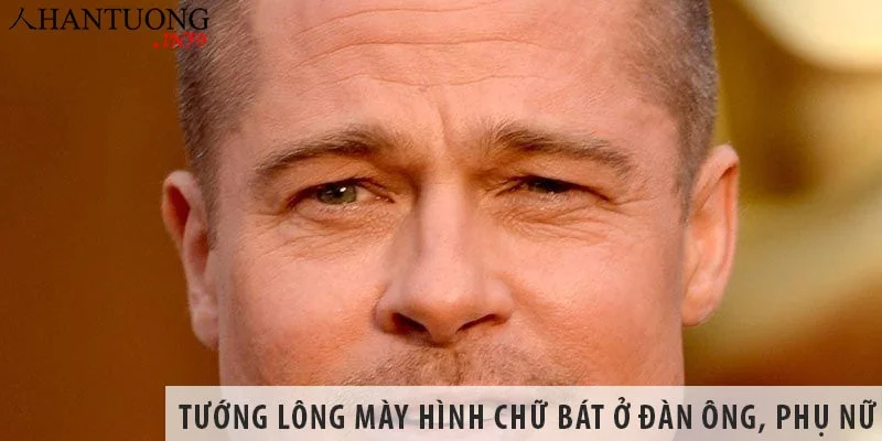 Xem tướng lông mày hình chữ bát ở đàn ông và phụ nữ Xem tướng lông mày hình chữ bát ở đàn ông và phụ nữ