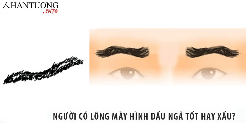 Người có tướng lông mày hình dấu ngã tốt hay xấu? Người có tướng lông mày hình dấu ngã tốt hay xấu?