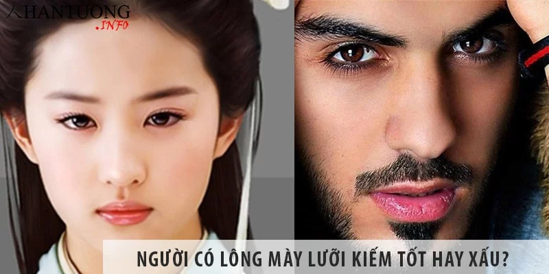 Người có lông mày lưỡi kiếm vận mệnh tốt hay xấu? Người có lông mày lưỡi kiếm vận mệnh tốt hay xấu?