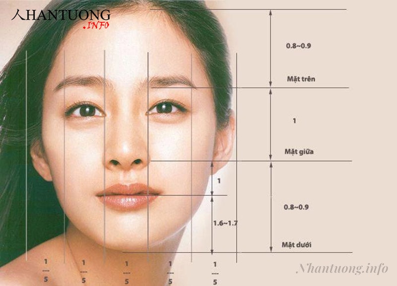 Tỷ lệ chuẩn của khuôn mặt trái xoan Tỷ lệ chuẩn của khuôn mặt trái xoan