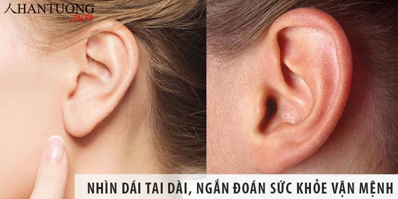 nhin-dai-tai-dai-ngan-doan-suc-khoe-van-menh-con-nguoi Nhìn dái tai dài, ngắn đoán sức khỏe vận mệnh con người