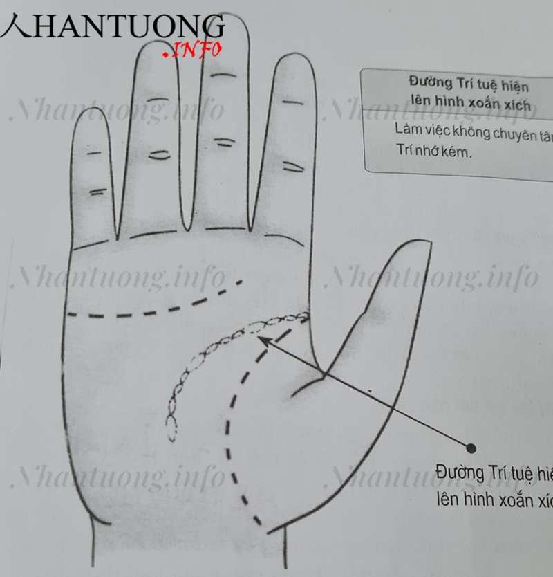 Đường trí tuệ có hình xoắn xích Đường trí tuệ có hình xoắn xích