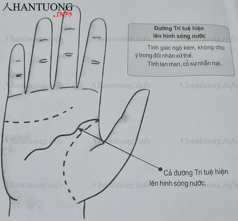 Đường trí tuệ hình sóng nước Đường trí tuệ hình sóng nước