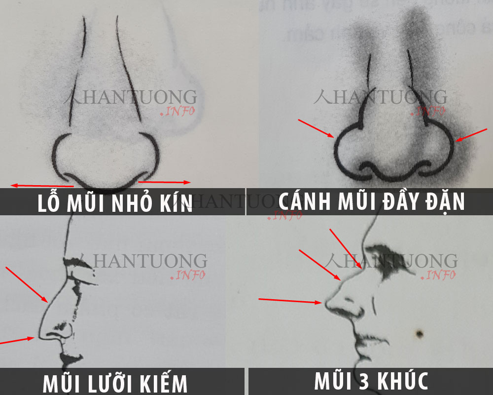 Tướng mũi đẹp chủ vận mệnh giàu có danh vọng tài năng 2 Lỗ mũi nhỏ kín, mũi lưỡi kiếm, cánh mũi đầy đặn mũi 3 khúc