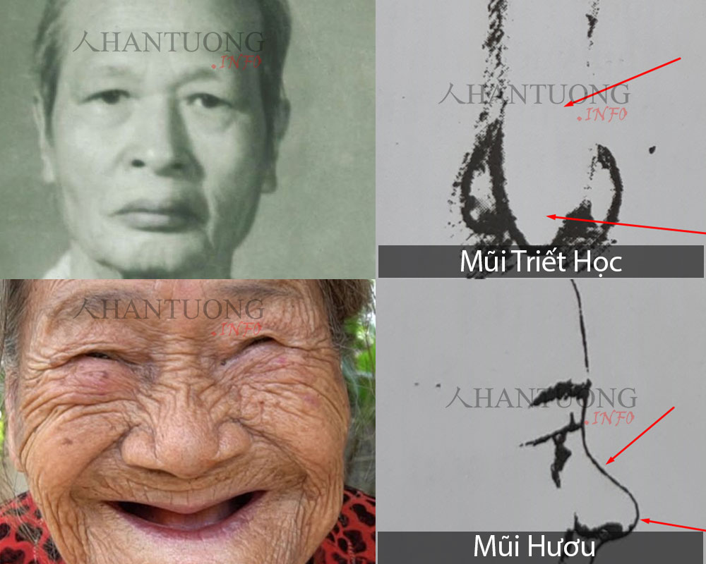 Tướng mũi đẹp chủ vận mệnh giàu có danh vọng tài năng 3 Tướng mũi triết học và mũi hươu
