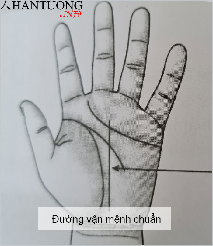 Đường vận mệnh, đường công danh sự nghiệp - cách xem & luận giải 1 Đường vận mệnh tiêu chuẩn