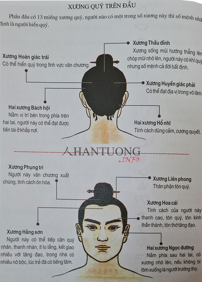 Xem tướng xương cốt đoán định vận mệnh sang hèn giàu nghèo 1 Tướng xương đầu quý hiển