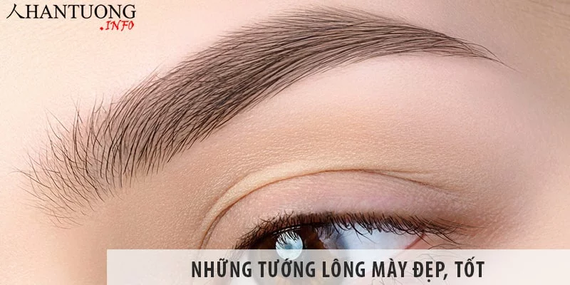 Những Tướng Lông Mày Đẹp, Tốt Trong Nhân Tướng