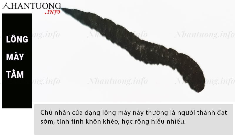 Tướng lông mày tằm