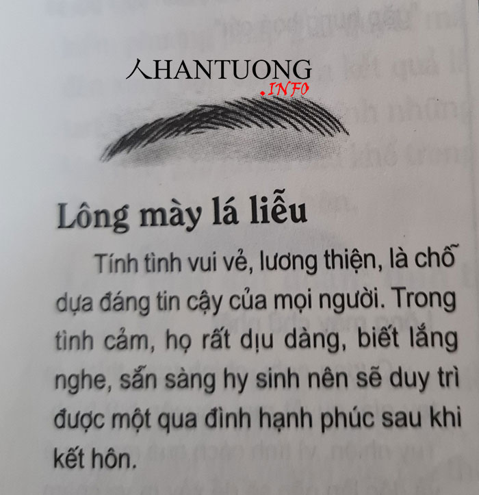 Tướng mặt cô gái dễ được mọi người có thiện cảm được yêu mến 1 Tướng lông mày lá liễu