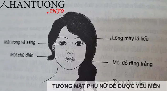 Tướng mặt phụ nữ dễ được yêu mến Tướng mặt phụ nữ dễ được yêu mến