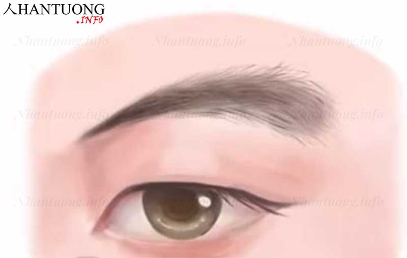 Tướng lông mày chổi xể thường không được đánh giá cao trong nhân tướng