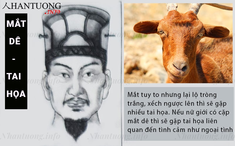 Tướng mắt dê - dương nhãn