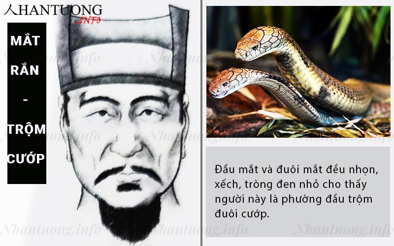 Tướng mắt rắn - xà nhãn