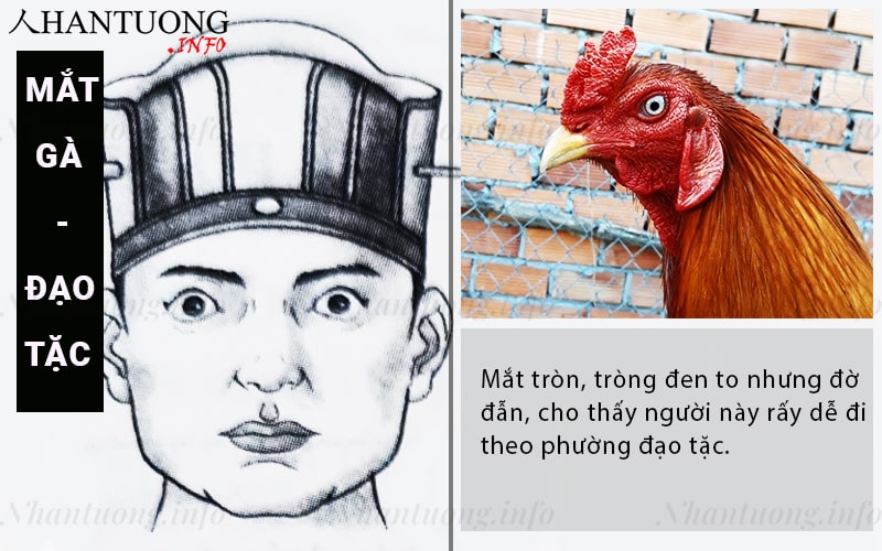 Tướng mắt gà