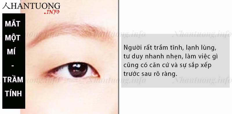 Bài 1: Cách xem tướng mắt cơ bản - đoán định điều gì qua mắt to, nhỏ 1 Mắt một mí: người lý tính, trầm tĩnh