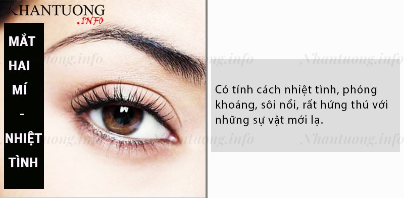 Bài 1: Cách xem tướng mắt cơ bản - đoán định điều gì qua mắt to, nhỏ 2 Mắt hai mí: người nhiệt tình, phóng khoáng