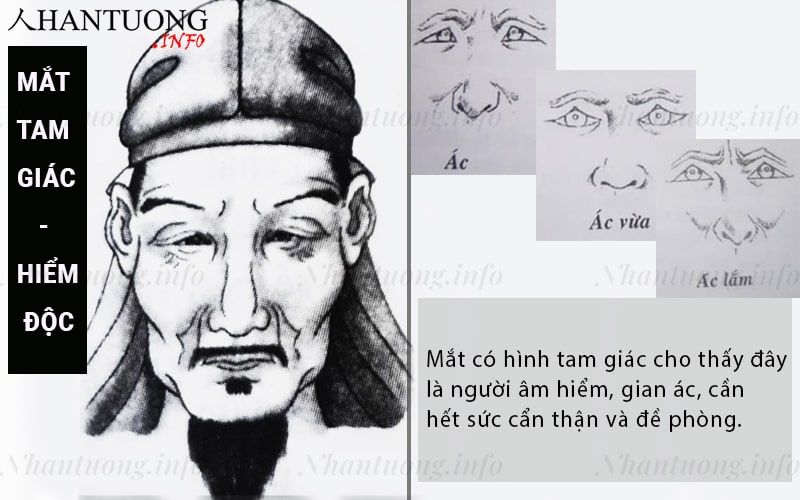 Mắt có hình tam giác: chỉ số thông minh rất cao nhưng thường đáng sợ Mắt có hình tam giác: chỉ số thông minh rất cao nhưng thường đáng sợ