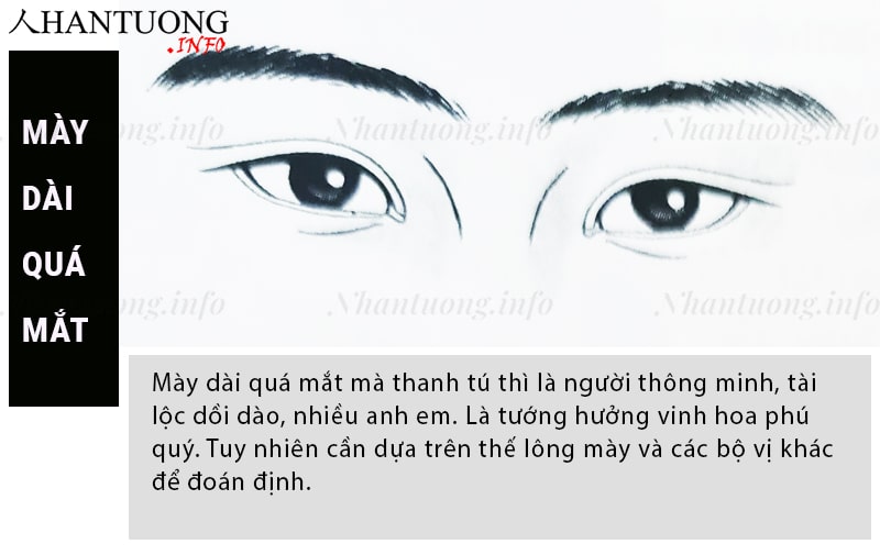 Tướng lông mày dài quá mắt Tướng lông mày dài quá mắt