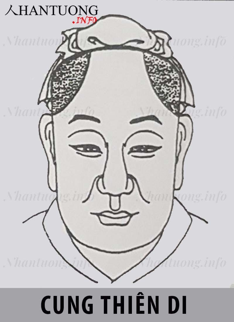 Vị trí cung Thiên di (Dịch mã) trên khuôn mặt theo nhân tướng học Vị trí cung Thiên di (Dịch mã) trên khuôn mặt theo nhân tướng học