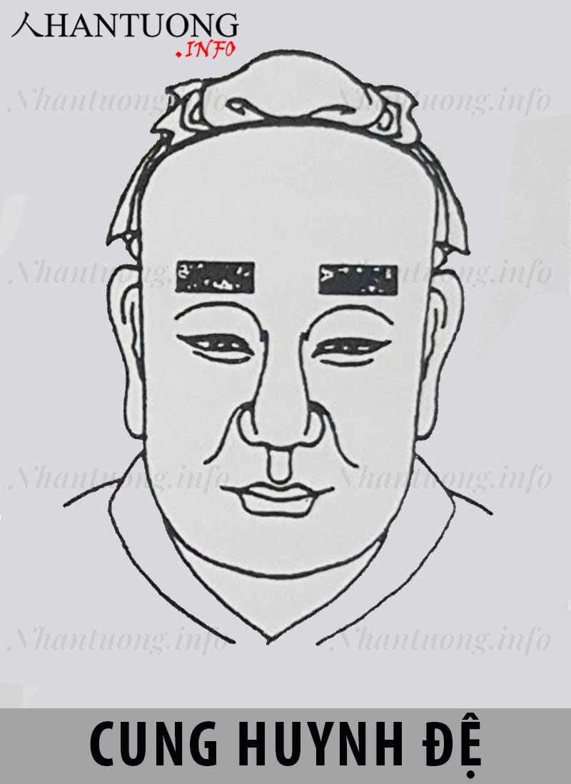 Vị trí cung huynh đệ (Cung anh em, cung bạn bè) trên khuôn mặt theo Nhân tướng học Vị trí cung huynh đệ (Cung anh em, cung bạn bè) trên khuôn mặt theo Nhân tướng học