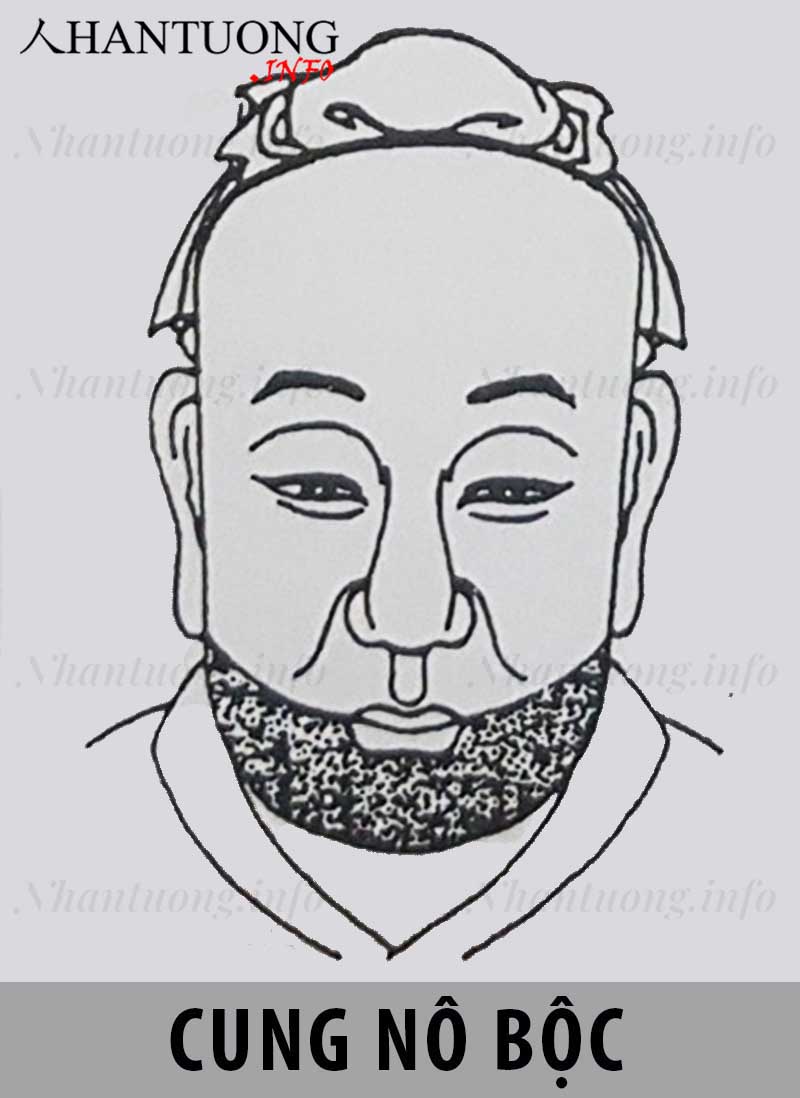 Vị trí cung Nô bộc trên khuôn mặt theo Nhân tướng học Vị trí cung Nô bộc trên khuôn mặt theo Nhân tướng học