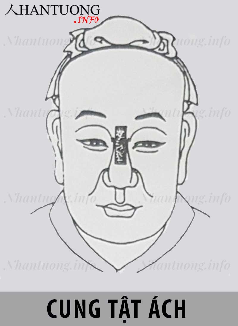 Vị trí cung Tật ách trên khuôn mặt theo Nhân tướng học Vị trí cung Tật ách trên khuôn mặt theo Nhân tướng học