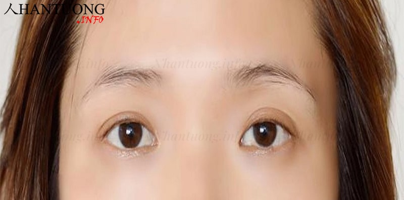 Đặc điểm nhận diện tướng lông mày mờ nhạt Đặc điểm nhận diện tướng lông mày mờ nhạt