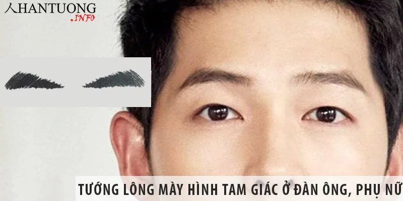 Xem tướng lông mày hình tam giác ở đàn ông, phụ nữ Xem tướng lông mày hình tam giác ở đàn ông, phụ nữ