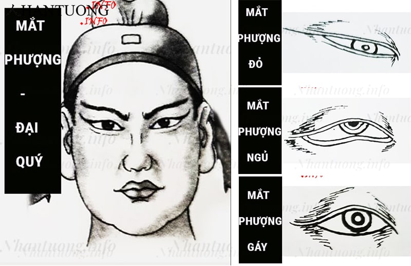 3 tướng mắt phượng đại quý 3 tướng mắt phượng đại quý