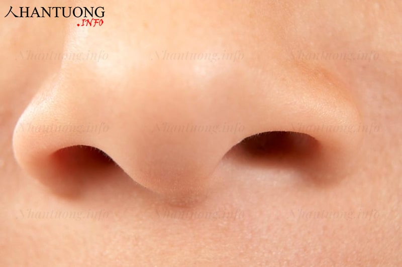 Đánh giá tướng lỗ mũi qua độ rộng, hình dáng và độ kín kẽ Đánh giá tướng lỗ mũi qua độ rộng, hình dáng và độ kín kẽ