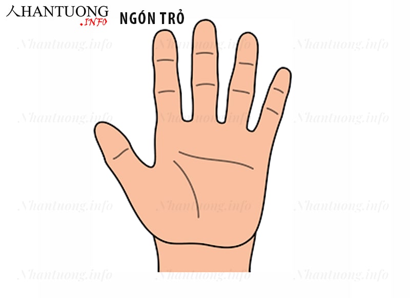 Ý nghĩa ngón tay trỏ (Ngón mộc tinh) Ý nghĩa ngón tay trỏ (Ngón mộc tinh)