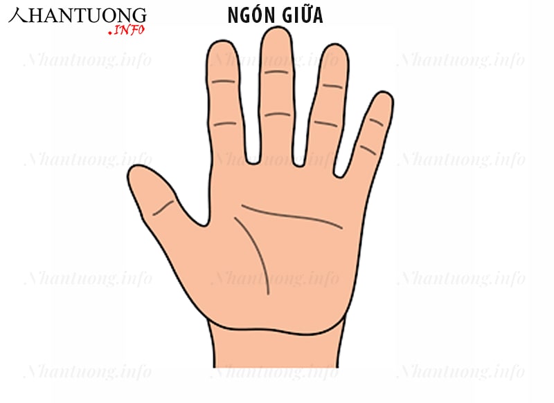 Ý nghĩa ngón tay giữa (ngón Thái dương) Ý nghĩa ngón tay giữa (ngón Thái dương)