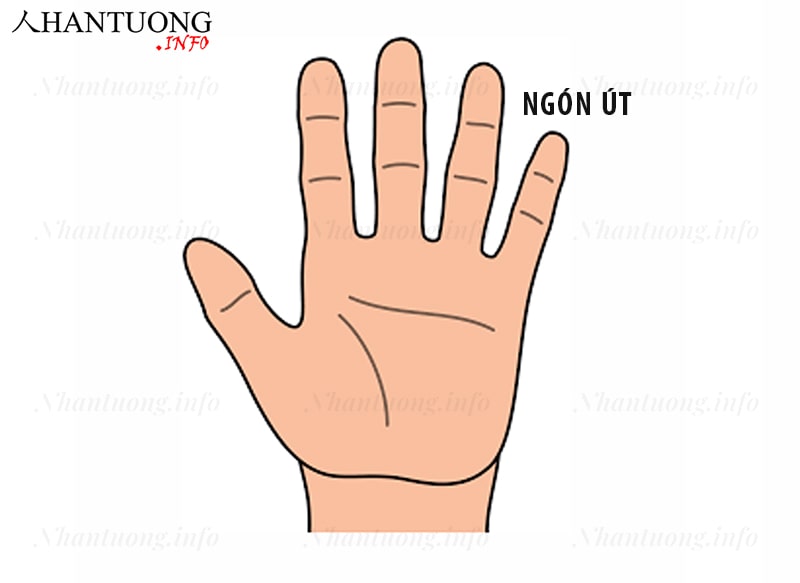 Ý nghĩa ngón tay út Ý nghĩa ngón tay út