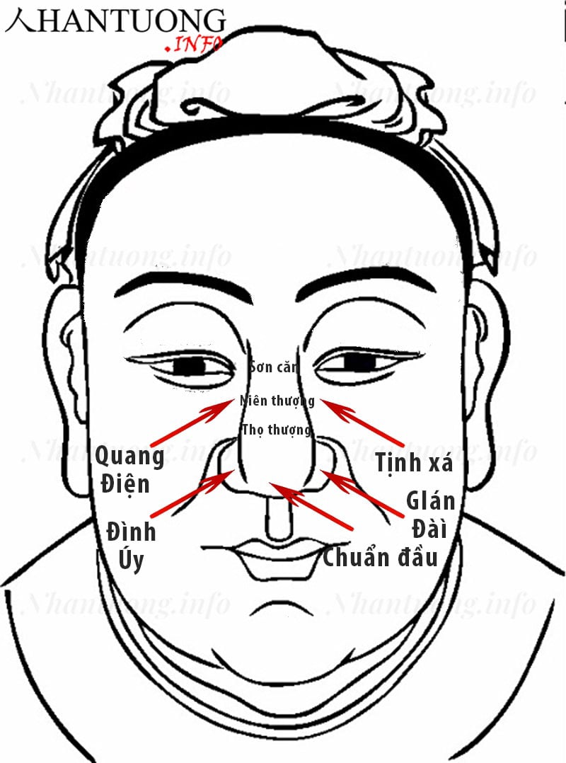Các bộ phận cần chú ý khi quan sát tướng mũi giàu sang phú qúy Các bộ phận cần chú ý khi quan sát tướng mũi giàu sang phú qúy