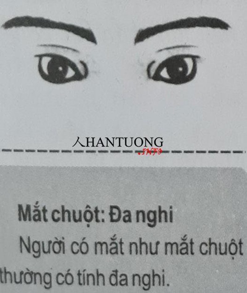 Tướng mắt chuột Tướng mắt chuột