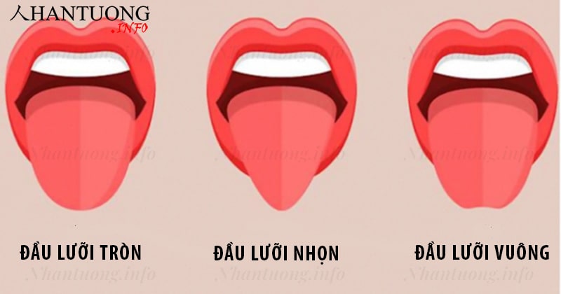 Tướng đầu lưỡi tròn, vuông, nhọn Tướng đầu lưỡi tròn, vuông, nhọn