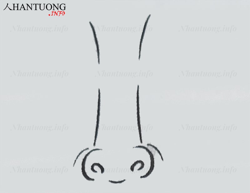 Đặc điểm và hình dáng tướng mũi hếch, mũi ba ba Đặc điểm và hình dáng tướng mũi hếch, mũi ba ba