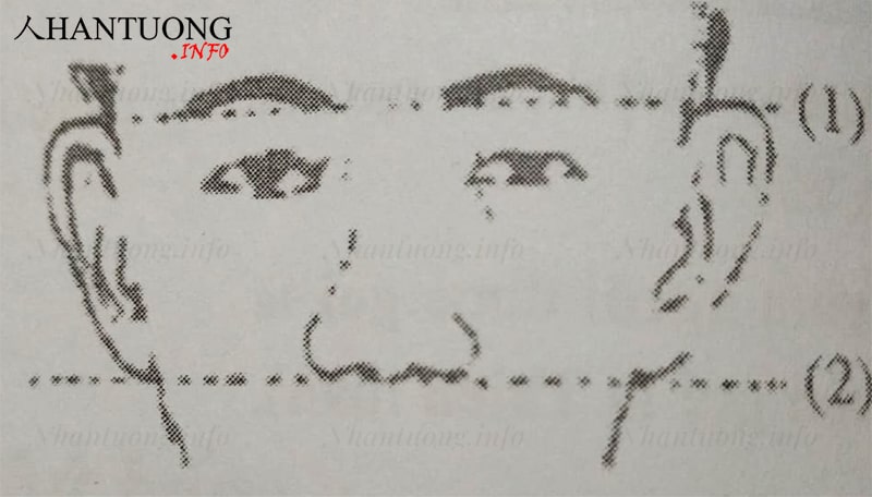 Cách xác định tướng tai cao tai thấp Cách xác định tướng tai cao tai thấp
