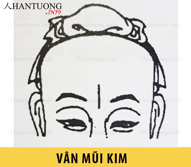 Vân mũi kim – Nếp nhăn thẳng ở ấn đường Vân mũi kim – Nếp nhăn thẳng ở ấn đường