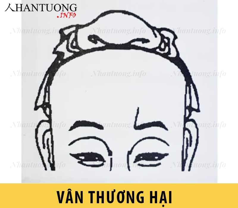 Vân Thương hại Vân Thương hại