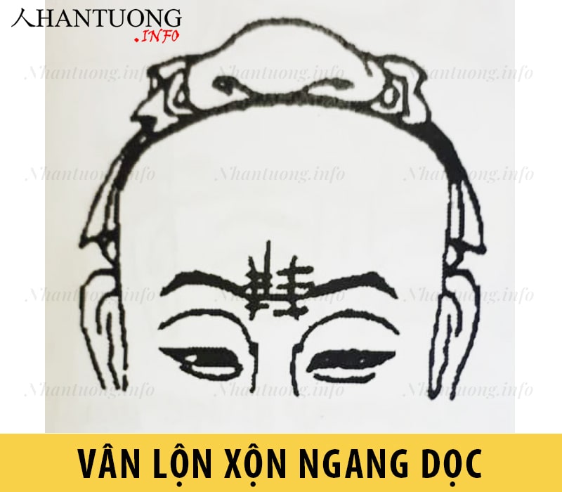 Vân lộn xộn ngang dọc Vân lộn xộn ngang dọc