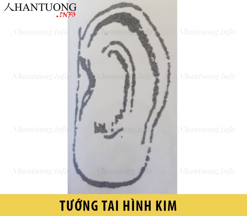 Tướng tai hình Kim Tướng tai hình Kim
