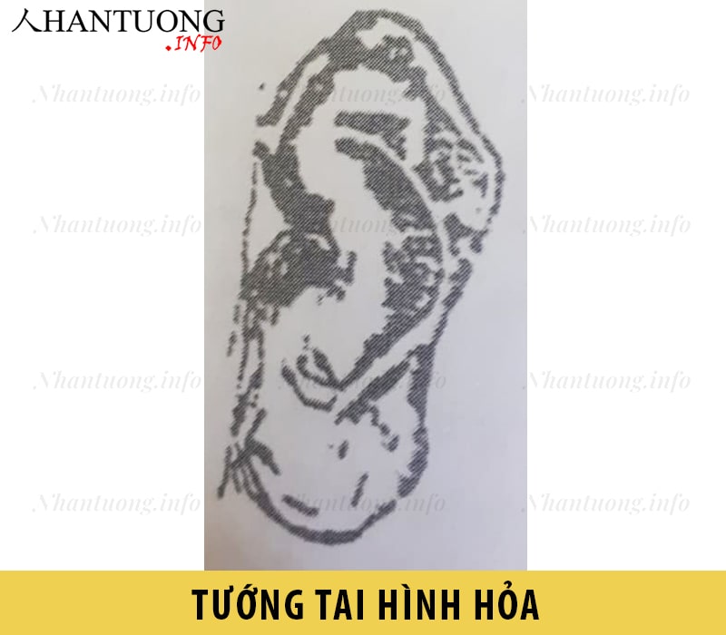 Tướng tai hình Hỏa Tướng tai hình Hỏa