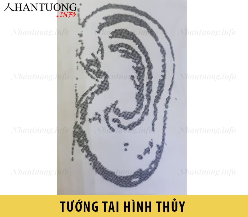 Tướng tai hình Thủy Tướng tai hình Thủy