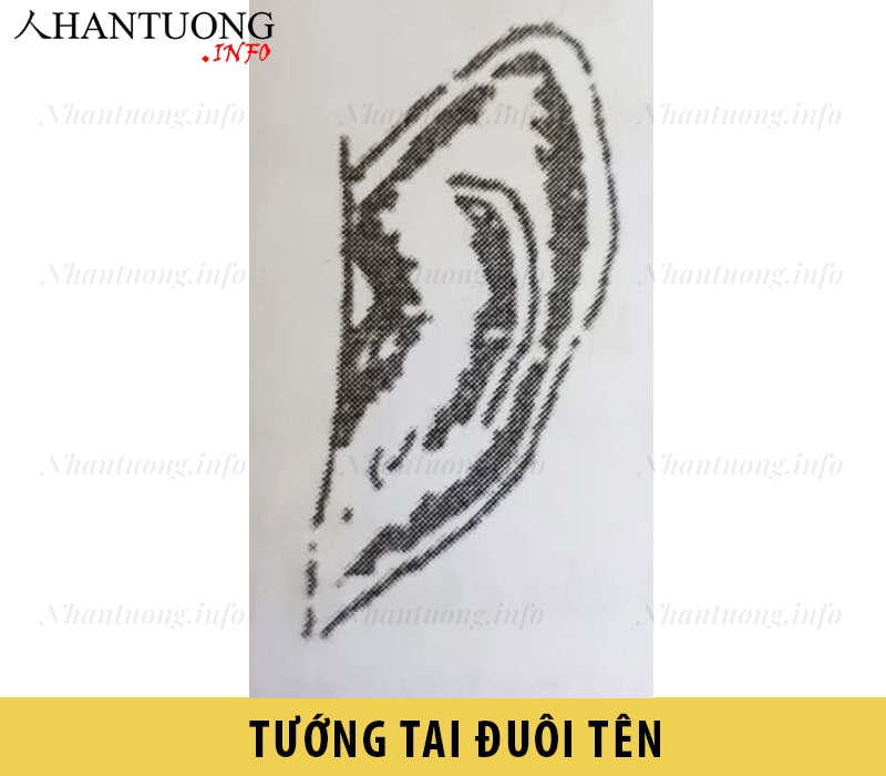 Hình dáng tướng tai đuôi tên Hình dáng tướng tai đuôi tên