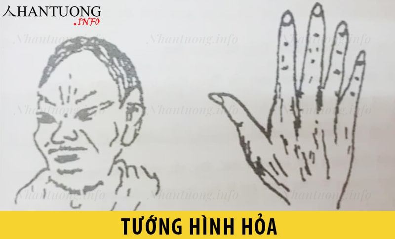 Đặc điểm tướng người hình Hỏa Đặc điểm tướng người hình Hỏa