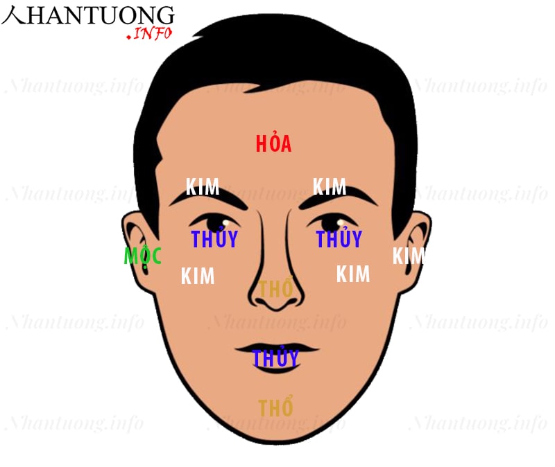 Ngũ hành trên khuôn mặt Ngũ hành trên khuôn mặt